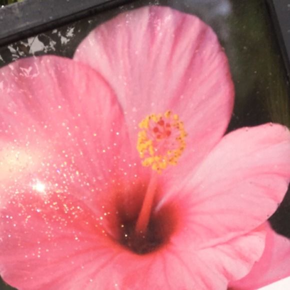 Meet your Posher, Inna - Picture 1 of 1